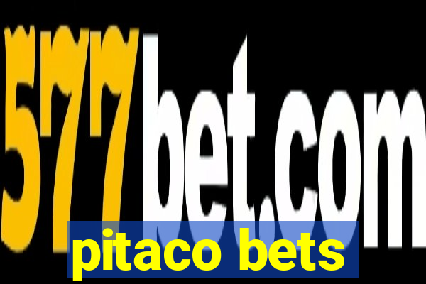 pitaco bets