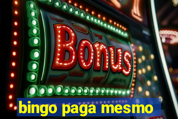 bingo paga mesmo