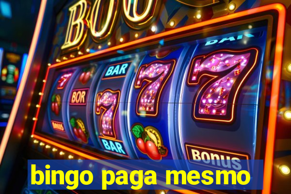 bingo paga mesmo