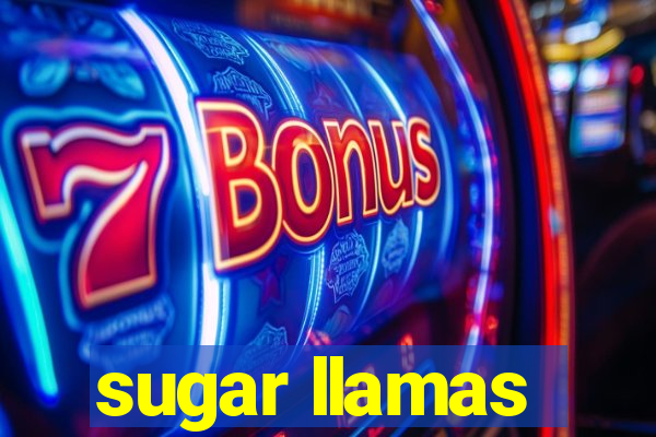 sugar llamas