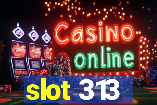 slot 313