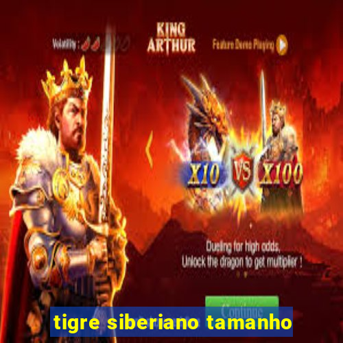 tigre siberiano tamanho