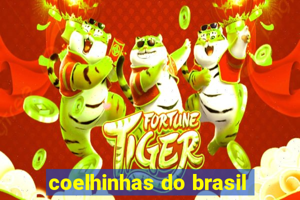 coelhinhas do brasil