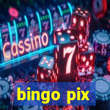 bingo pix