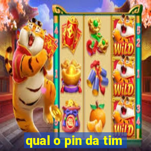 qual o pin da tim