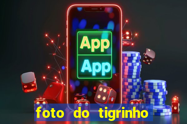 foto do tigrinho do jogo