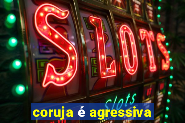 coruja é agressiva